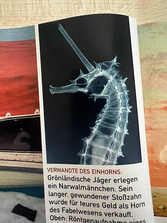 nkk_DEU_Pforzheim_20041111_010.jpeg