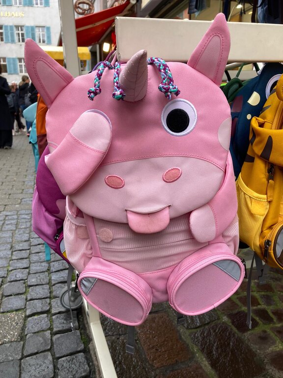 nkk_DEU_Konstanz_20241029.JPG  